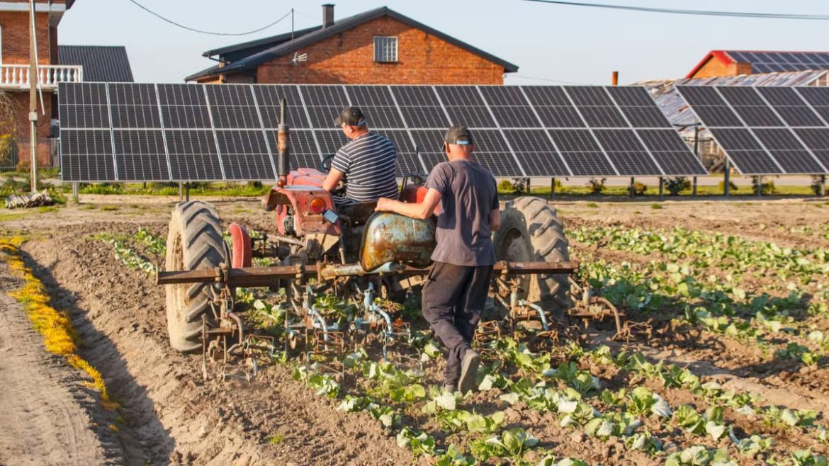 Transition écologique 2026 : les défis qui façonnent nos vies