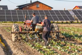 Transition écologique 2026 : les défis qui façonnent nos vies